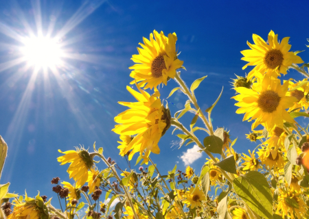Τα άστρα την Τετάρτη με Αφροδίτη σε τρίγωνο με Κρόνο: Μια όμορφη όψη.
