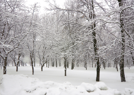Τα άστρα την Τετάρτη, με τον Άρη σε εξάγωνο με Πλούτωνα.