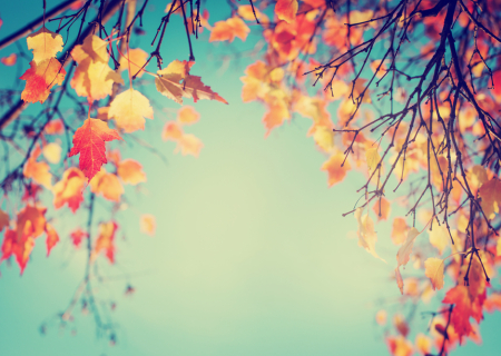 Τα άστρα την Τετάρτη, με τον Άρη σε σύνοδο με Πλούτωνα.