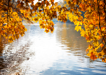 Τα άστρα την Τετάρτη, με Άρη τετράγωνο Δία & Αφροδίτη εξάγωνο Πλούτωνα