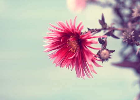 Τα άστρα 12 ως 14 Μαΐου, με τον Άρη σε τρίγωνο με τον Δία.