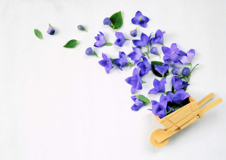 Τα άστρα το τριήμερο του Πάσχα 14-16 Απριλίου, με Σελήνη στον Τοξότη.