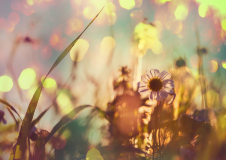 Τα άστρα από 20 – 23 Νοεμβρίου με τον Ήλιο στον Τοξότη: Η ζωή είναι ωραία!