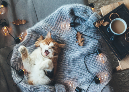 Τα άστρα από 27 – 30 Νοεμβρίου με τον Ερμή σε σύνοδο με Κρόνο στον Τοξότη