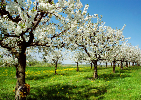 Τα άστρα 31/3 ως 2/4, με Σελήνη στους Διδύμους κι Ερμή στον Ταύρο.
