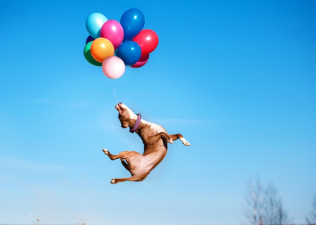 Τα άστρα την Δευτέρα 10 Ιουλίου, με τον Ήλιο σε αντίθεση με Πλούτωνα.