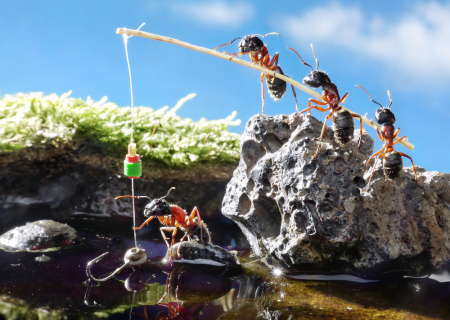 Τα άστρα σήμερα! Εργασία και χαρά με Ήλιο στην Παρθένο… Όλο και κάτι θα ...ψαρέψουμε!