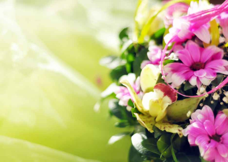 Τα άστρα την Τρίτη 28 Μαρτίου, με την Νέα Σελήνη στον Κριό.