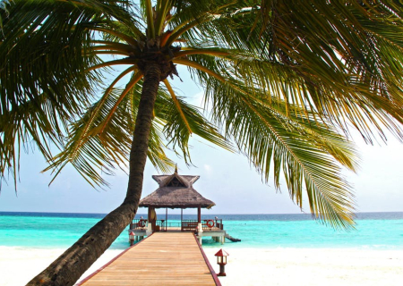 Οι αστρολογικές προβλέψεις 18 - 21 Ιουνίου 2018: Το θερινό ηλιοστάσιο.