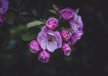 Οι αστρολογικές προβλέψεις 26 – 28 Απριλίου 2019: Ο Άρης σε τετράγωνο Ποσειδώνα.