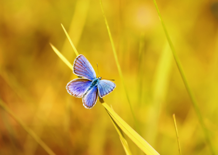 Οι αστρολογικές προβλέψεις από 5 Φεβρουαρίου μέχρι 8 Μαρτίου 2018: Ώρα για δράση!