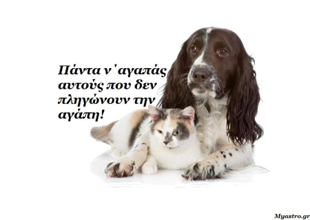 Τα άστρα, ο έρωτας και… άλλες ιστορίες, για την εβδομάδα 10 ως 16 Ιουνίου 2013.