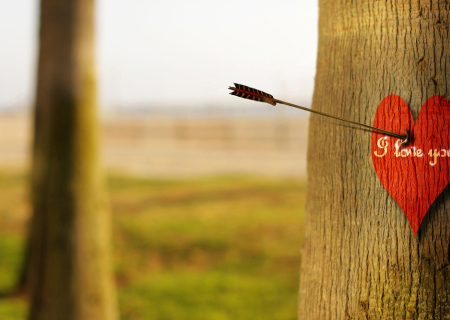 Οι προβλέψεις για τα αισθηματικά σου, την εβδομάδα 20 ως 26/2/2017.