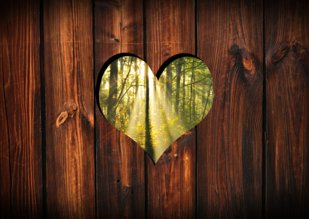 Οι προβλέψεις για τα αισθηματικά σου, την εβδομάδα 6 ως 12/2/2017.