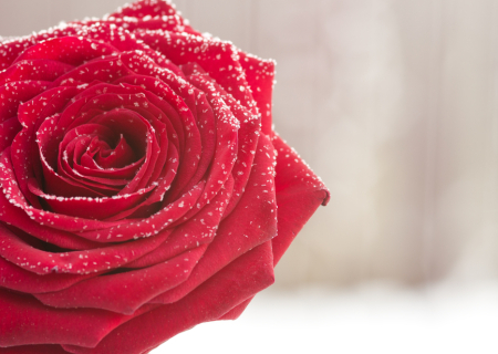 Οι προβλέψεις για τα αισθηματικά σου, την εβδομάδα 9 ως 15/1/2017.