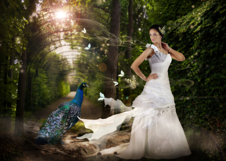 Η Σελήνη στον Κριό τον Δεκέμβριο 2012. Μια δυναμική Σελήνη!