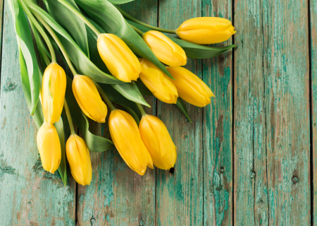 Η συμβουλή για τα αισθηματικά σου το σαββατοκύριακο, 1-2/4/2017.