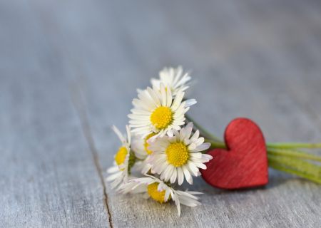 Η συμβουλή για τα αισθηματικά σου την Δευτέρα, 10 Απριλίου 2017.