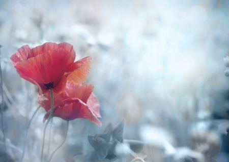 Η συμβουλή για τα αισθηματικά σου την Μ. Παρασκευή, 14 Απριλίου 2017.