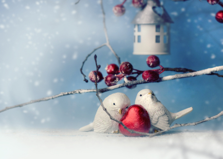 Η συμβουλή για τα αισθηματικά σου την Παρασκευή 15 Δεκεμβρίου 2017.