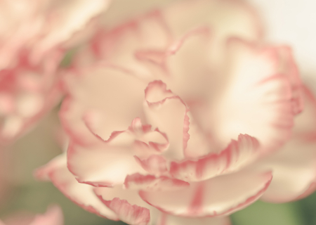 Η συμβουλή για τα αισθηματικά σου το σαββατοκύριακο, 18-19/3/2017.