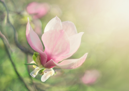 Η συμβουλή για τα αισθηματικά σου την Τρίτη, 20 Ιουνίου 2017.