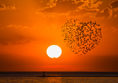 Η συμβουλή για τα αισθηματικά σου την Πέμπτη, 21 Σεπτεμβρίου 2017.