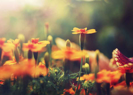 Η συμβουλή για τα αισθηματικά σου την Πέμπτη, 23 Μαρτίου 2017.