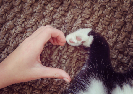 Η συμβουλή για τα αισθηματικά σου το σαββατοκύριακο, 23 έως 24 Σεπτεμβρίου 2017.