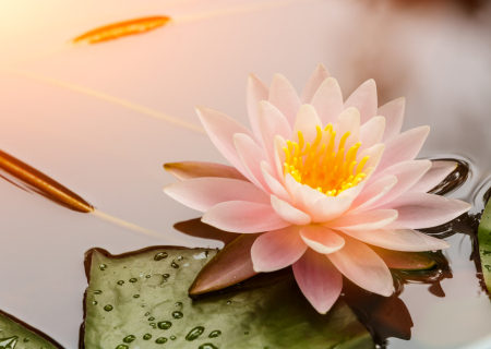 Η συμβουλή για τα αισθηματικά σου το σαββατοκύριακο, 25-26/3/2017.