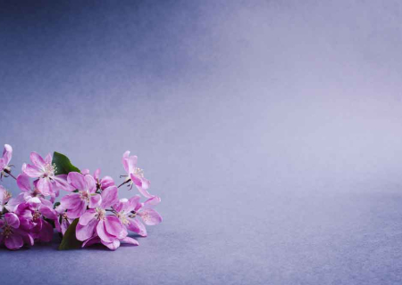 Η συμβουλή για τα αισθηματικά σου την Πέμπτη, 30 Μαρτίου 2017.