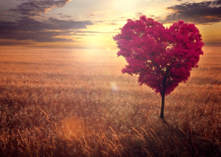 Η συμβουλή για τα αισθηματικά σου την Τετάρτη, 31 Μαΐου 2017.