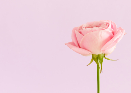 Η συμβουλή για τα αισθηματικά σου την Πέμπτη, 6 Απριλίου 2017.