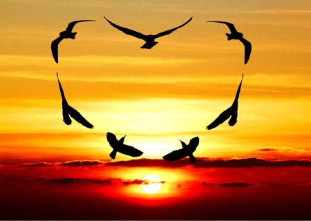 Η συμβουλή για τα αισθηματικά σου την Πέμπτη, 7 Σεπτεμβρίου 2017.