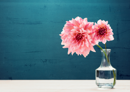 Η συμβουλή για τα αισθηματικά σου την Δευτέρα, 16 Ιανουαρίου 2017.