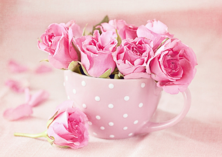 Η συμβουλή για τα αισθηματικά σου το Σαββατοκύριακο, 18-19 Φεβρουαρίου 2017.