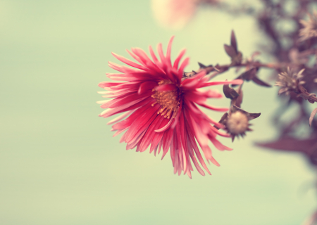 Η συμβουλή για τα αισθηματικά σου την Δευτέρα, 23 Ιανουαρίου 2017.