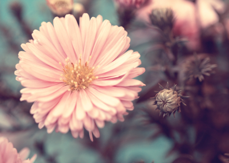 Η συμβουλή για τα αισθηματικά σου την Τετάρτη, 25 Ιανουαρίου 2017.