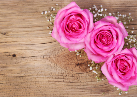 Η συμβουλή για τα αισθηματικά σου την Τρίτη, 31 Ιανουαρίου 2017