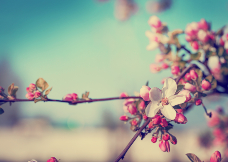 Η συμβουλή για τα αισθηματικά σου το σαββατοκύριακο, 4-5/3/2017.