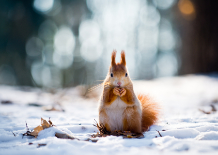 Η συμβουλή για τα αισθηματικά σου την Παρασκευή, 6 Ιανουαρίου 2017.
