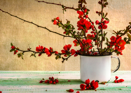 Η συμβουλή για τα αισθηματικά σου την Δευτέρα, 6 Φεβρουαρίου 2017