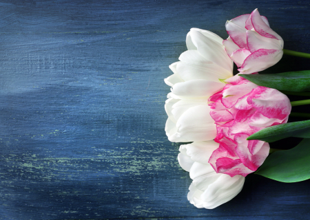 Η συμβουλή για τα αισθηματικά σου την Τετάρτη, 8 Φεβρουαρίου 2017.