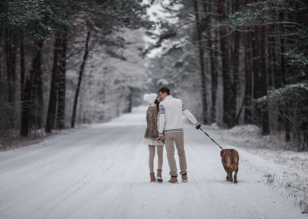 Τα αισθηματικά των ζωδίων για το 2017 ανά μήνα.