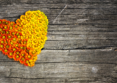 Οι αισθηματικές προβλέψεις Ταρώ την εβδομάδα 12 ως 18 Δεκεμβρίου 2016.