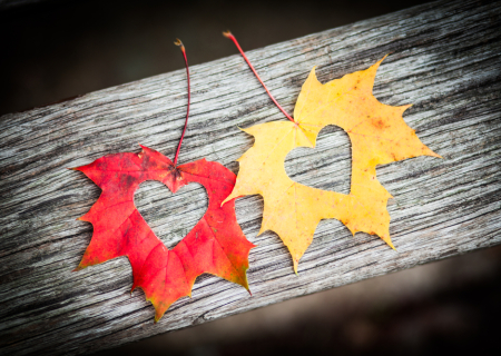 Οι αισθηματικές προβλέψεις Ταρώ την εβδομάδα 16 ως 22 Ιανουαρίου 2017.