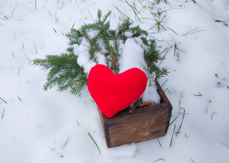 Οι αισθηματικές προβλέψεις Ταρώ την εβδομάδα 18 έως 24/12/2017.