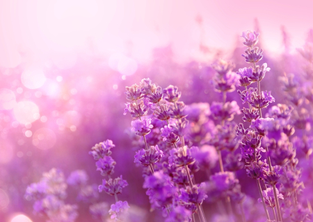 Οι αισθηματικές προβλέψεις Ταρώ την εβδομάδα 9 ως 15/4/2018.