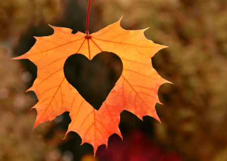 Οι αισθηματικές προβλέψεις Ταρώ την εβδομάδα 9 έως 15/10/2017.