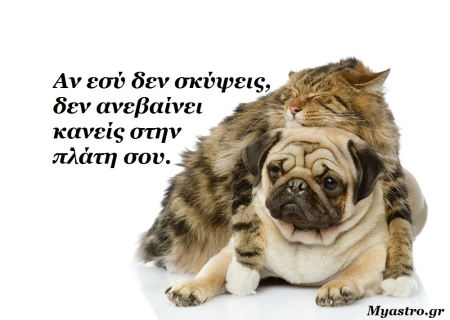 Τα άστρα αυτή την εβδομάδα. Ας αρπάξουμε τις ευκαιρίες τώρα που μπορούμε, γιατί μετά… κανείς δεν μπορεί να υποσχεθεί για τίποτα!